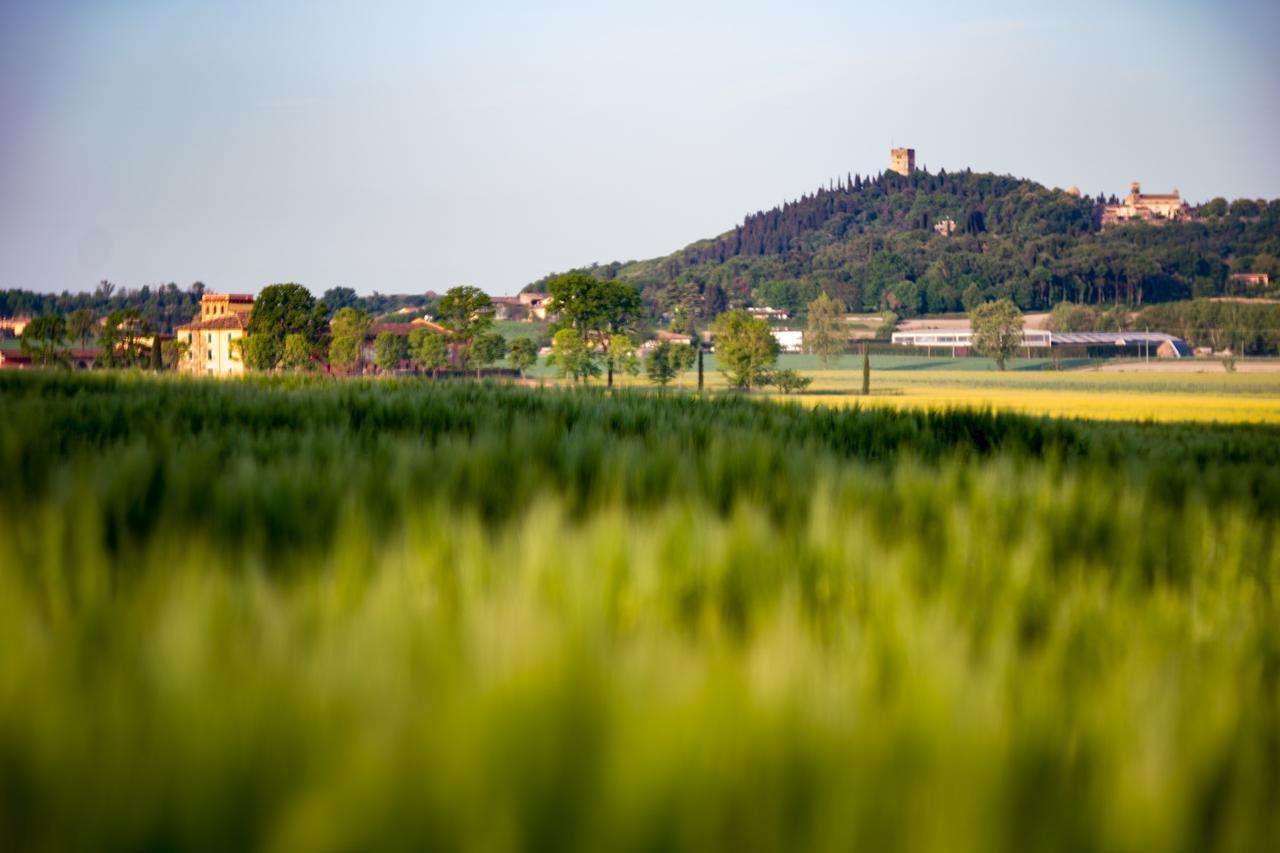 La Valle dei Vigher Cavriana Esterno foto